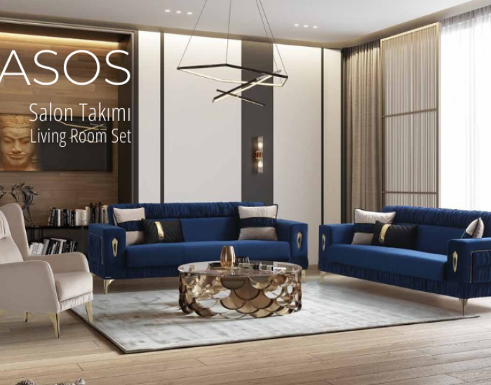 Asos Salon Takımı Living Room Set