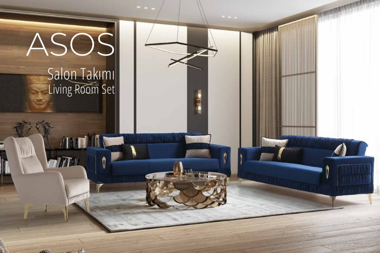 Asos Salon Takımı Living Room Set