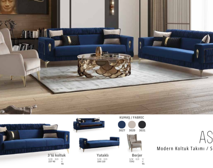 Asos Salon Takımı Living Room Set